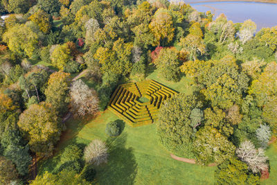 High angle view of plants and trees on landscape