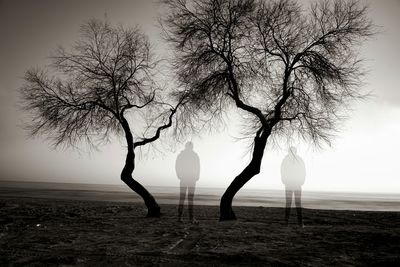 Silhouette bare tree on field against sky