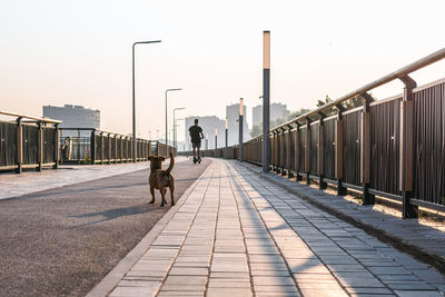 Rear view of people walking on footbridge