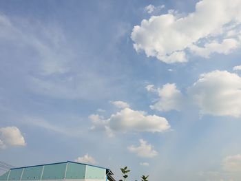 Low angle view of trees against blue sky