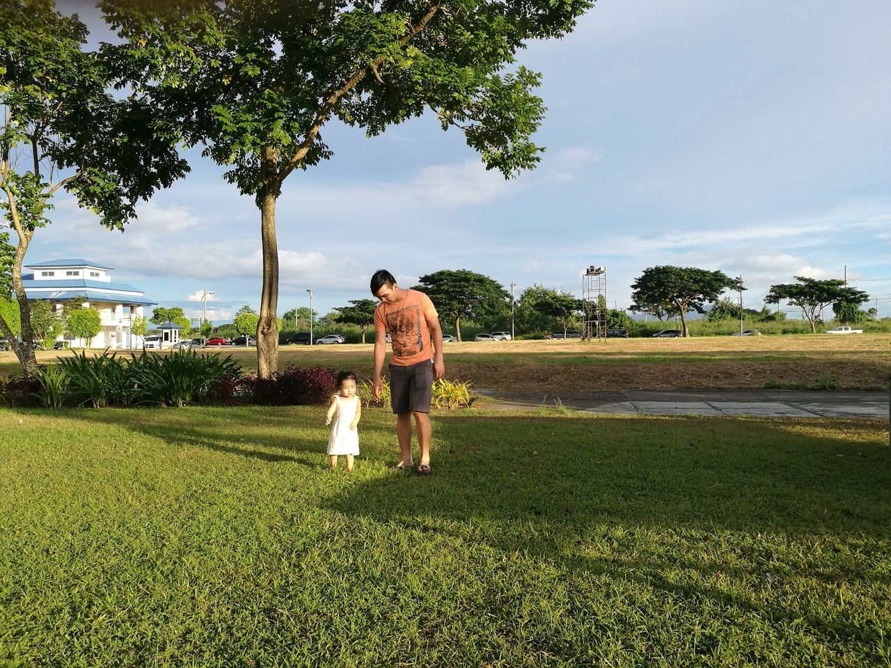 tree, grass, two people, full length, sky, real people, green color, leisure activity, rear view, togetherness, nature, growth, love, outdoors, day, standing, cloud - sky, men, lifestyles, bonding, mammal, beauty in nature, golf course, golfer, people