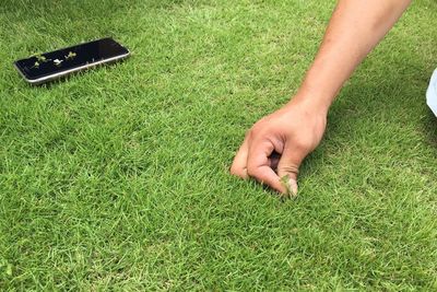People on grassy field