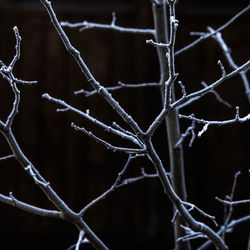 Close-up of frozen fence during winter