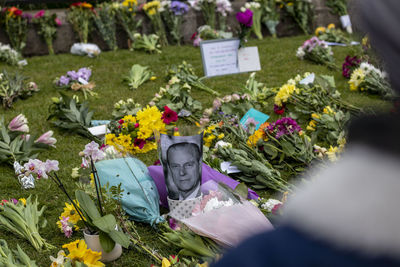 Close-up of purple flowering plants at cemetery