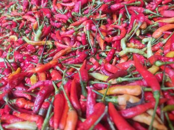 Full frame shot of red chili peppers for sale at market