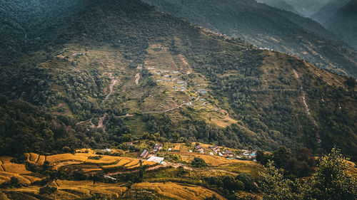 mountain