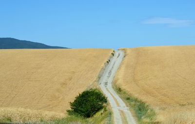 Scenic view of landscape against clear blue sky