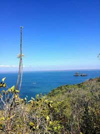 Scenic view of sea against clear blue sky