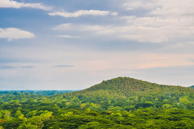 Scenic view of forest against sky