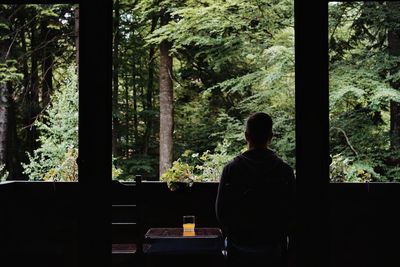 Rear view of man sitting at table in forest