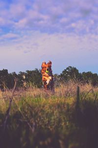 Low angle view of horse on field against sky