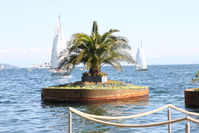 Sailboat on sea against sky