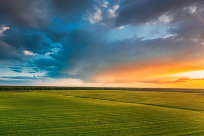 Scenic view of agricultural field against sky during sunset