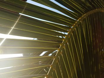 Low angle view of spiral staircase