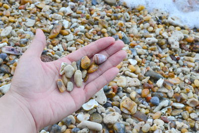 Cropped image of hand holding pebbles on beach