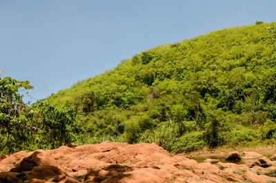 Scenic view of landscape against clear sky