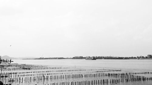 View of wooden posts in the sea