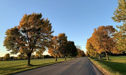 Road amidst trees against sky during autumn