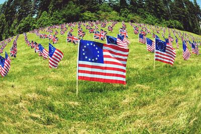 Betsy ross flag on field at princeton battlefield