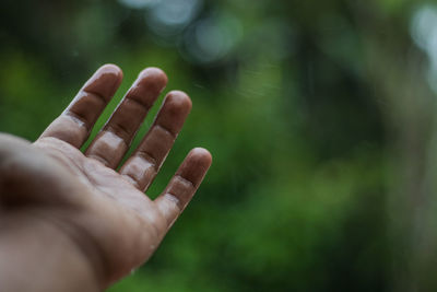 Close-up of human hand