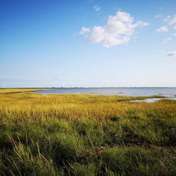 Scenic view of sea against sky