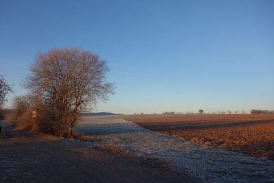 Scenic view of landscape against clear sky