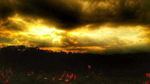 Silhouette trees against sky during sunset