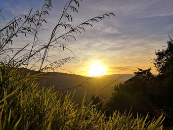 Scenic view of sunset