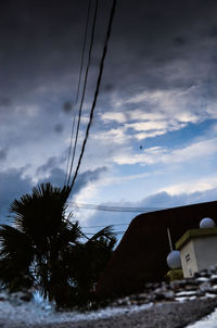 Trees against cloudy sky