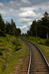 Railroad track amidst trees against sky