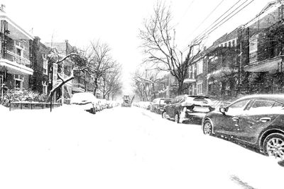 Snow covered trees and buildings in city during winter