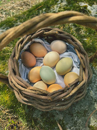 High angle view of eggs in nest