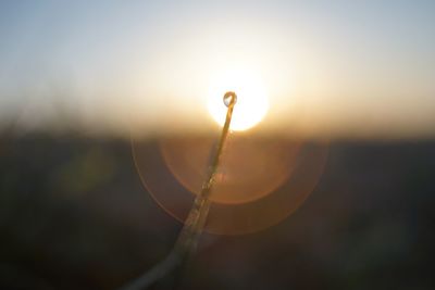 Close-up of water drop on plant against sky during sunset