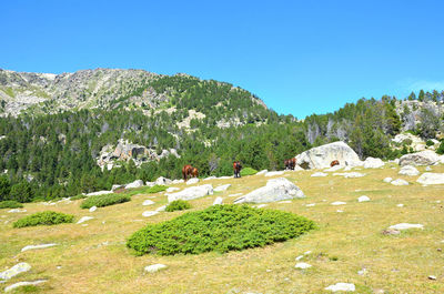 Scenic view of rocky mountains against clear sky