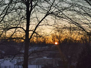 Silhouette bare trees against sky during sunset