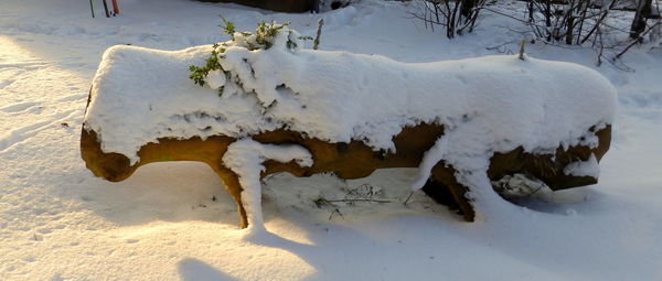 Close-up of snow on field during winter