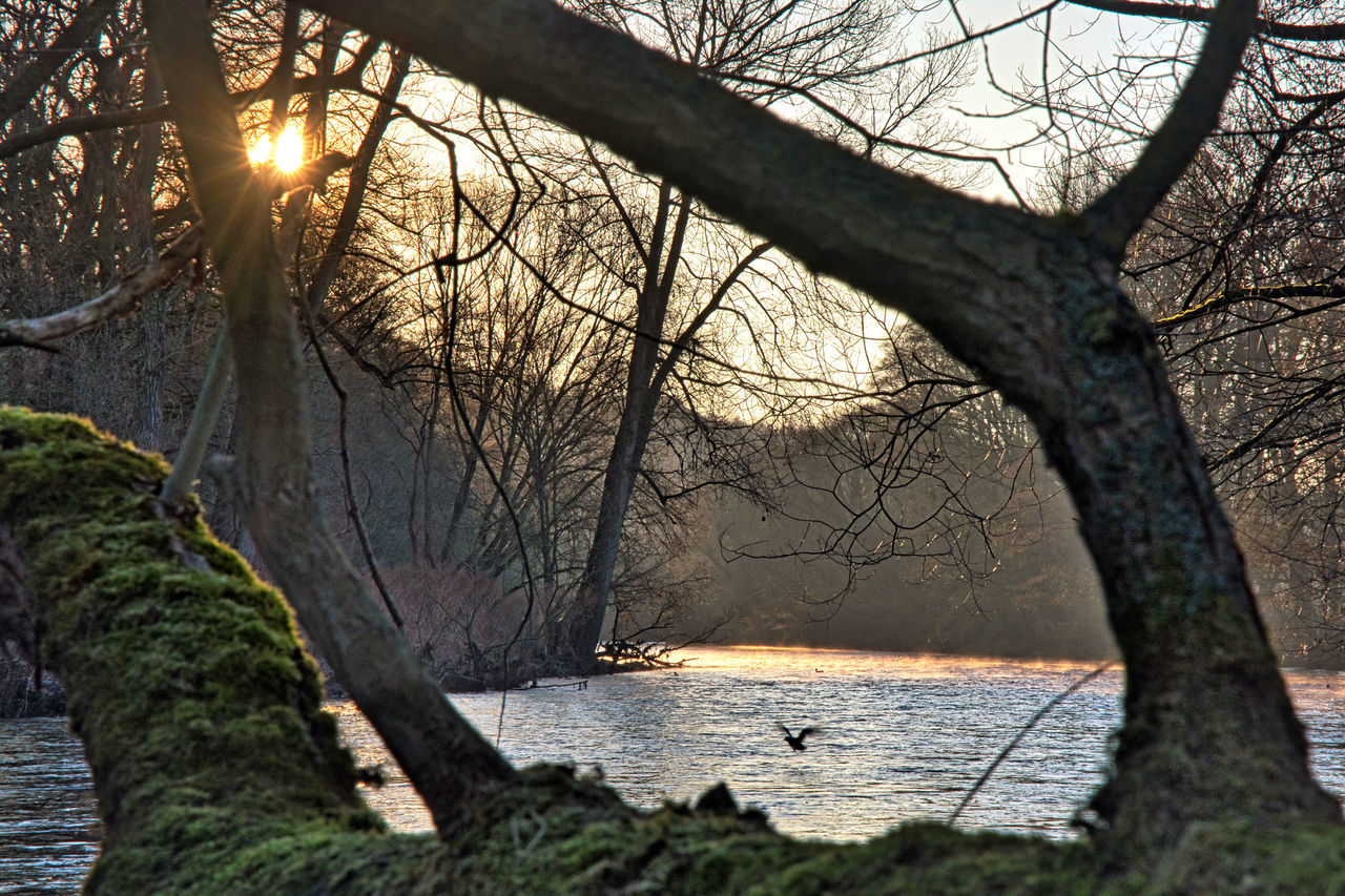 SCENIC VIEW OF RIVER AGAINST BARE TREES