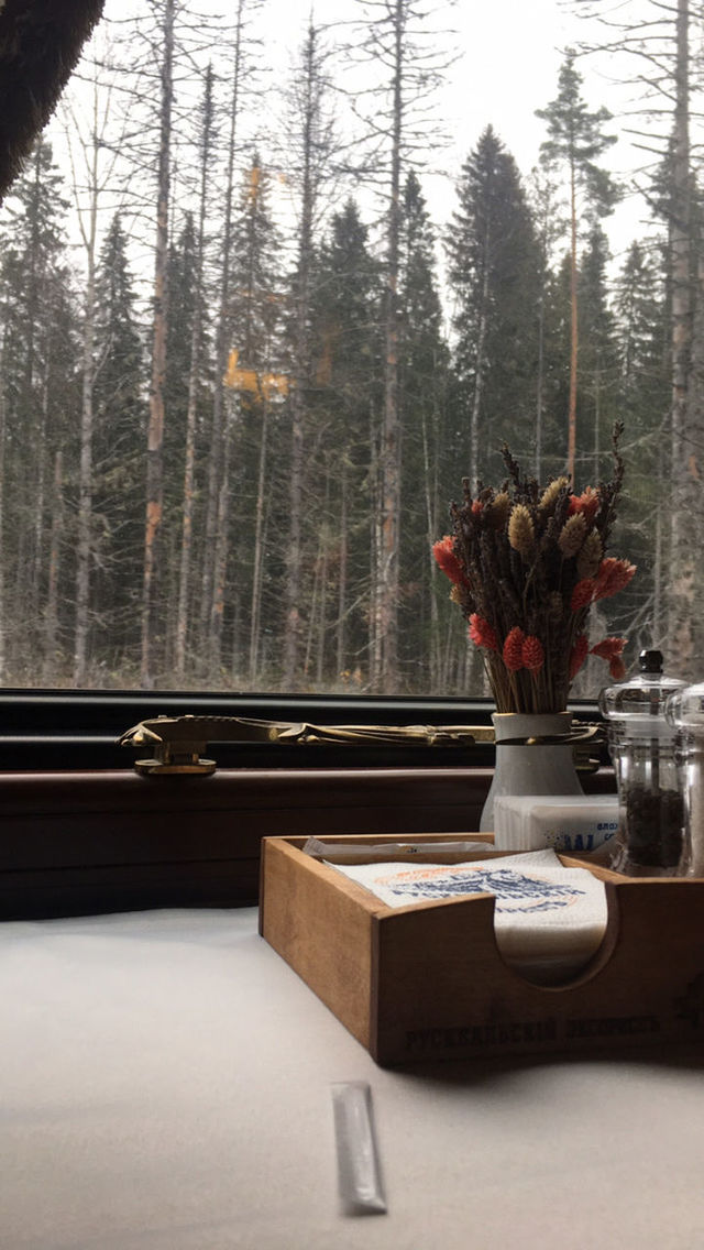 FLOWER VASE ON TABLE AGAINST TREES IN FOREST