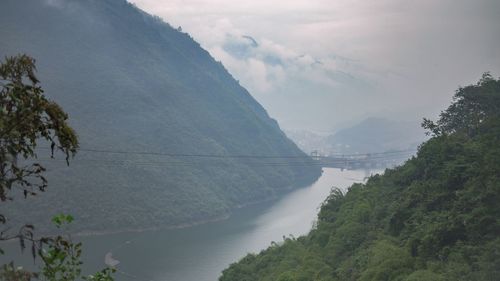 Scenic view of river amidst trees against sky