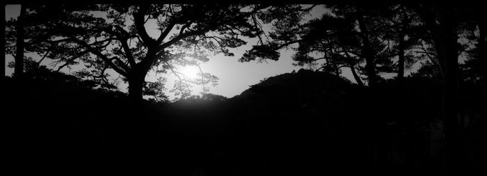 Silhouette trees against mountain range