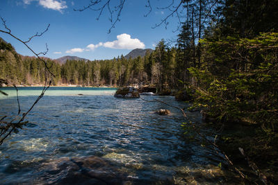 Scenic view of river in forest against sky