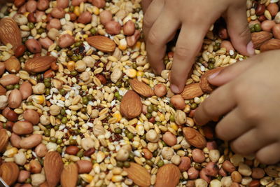 Close-up of hand holding vegetables