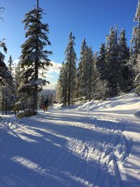 Scenic view of snow covered landscape