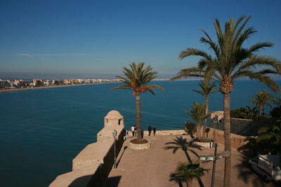 Palm trees on beach against clear sky