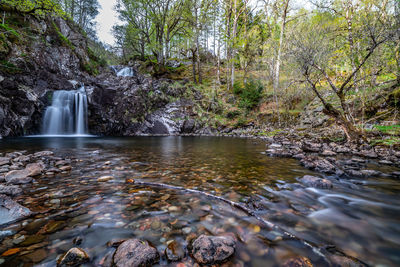 Scenic view of waterfall in forest