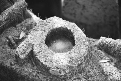 Close-up high angle view of leaves