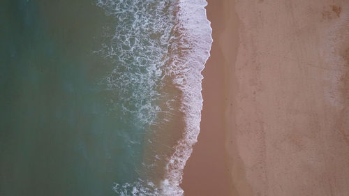 Scenic view of beach