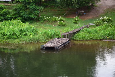Reflection of trees in lake