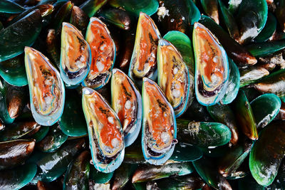 High angle view of various food, fresh mussels for sale in market