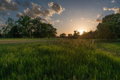 Scenic view of field against sky during sunset